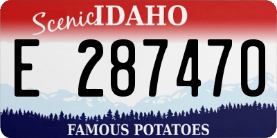 ID license plate E287470