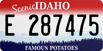 ID license plate E287475