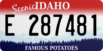 ID license plate E287481