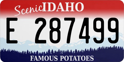ID license plate E287499