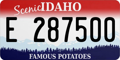 ID license plate E287500