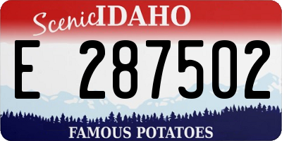 ID license plate E287502