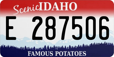ID license plate E287506
