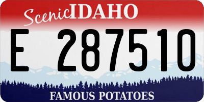 ID license plate E287510