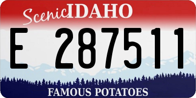 ID license plate E287511