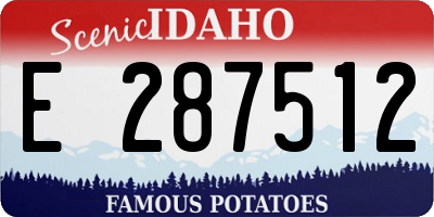 ID license plate E287512