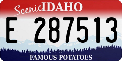 ID license plate E287513
