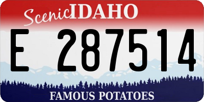 ID license plate E287514