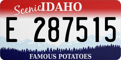ID license plate E287515