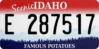 ID license plate E287517