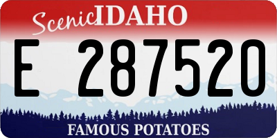 ID license plate E287520