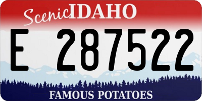 ID license plate E287522