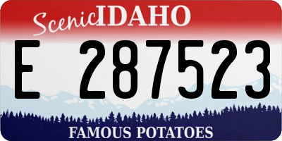 ID license plate E287523