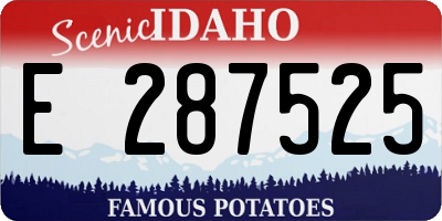 ID license plate E287525