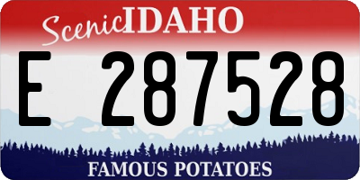 ID license plate E287528