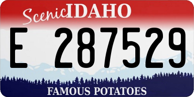 ID license plate E287529