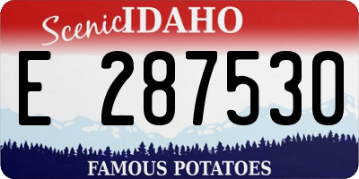 ID license plate E287530