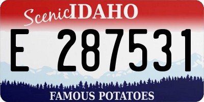 ID license plate E287531