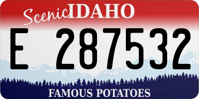 ID license plate E287532