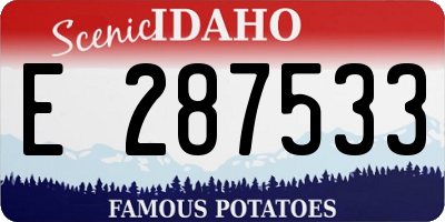 ID license plate E287533