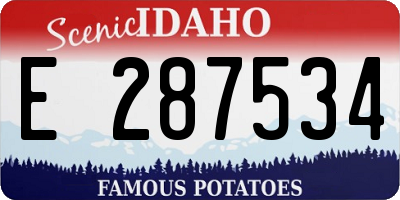 ID license plate E287534