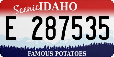 ID license plate E287535