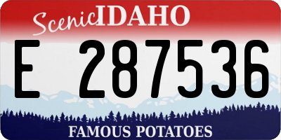 ID license plate E287536