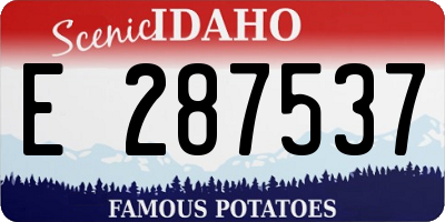 ID license plate E287537
