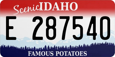 ID license plate E287540