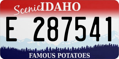 ID license plate E287541