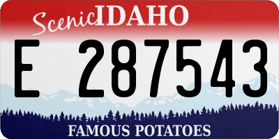 ID license plate E287543