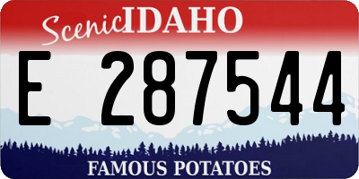 ID license plate E287544