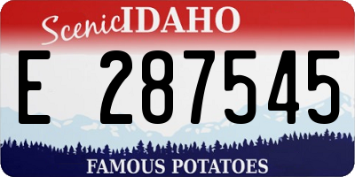 ID license plate E287545