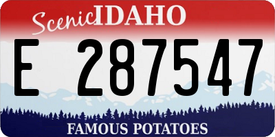 ID license plate E287547