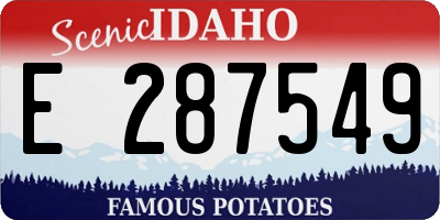 ID license plate E287549