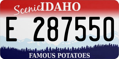 ID license plate E287550