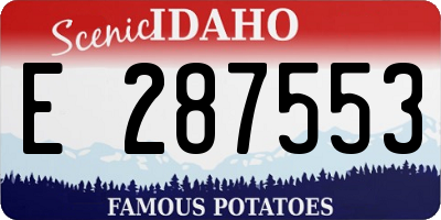 ID license plate E287553