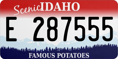 ID license plate E287555