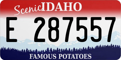 ID license plate E287557