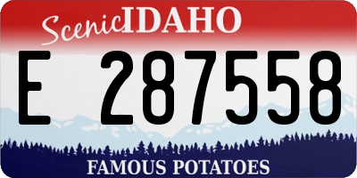 ID license plate E287558