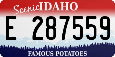 ID license plate E287559