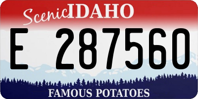 ID license plate E287560