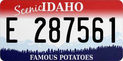 ID license plate E287561