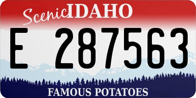 ID license plate E287563