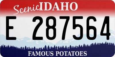 ID license plate E287564