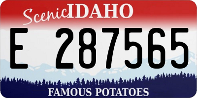 ID license plate E287565