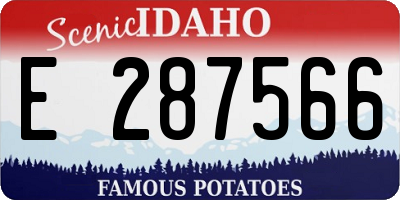 ID license plate E287566