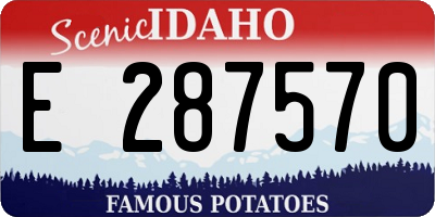ID license plate E287570