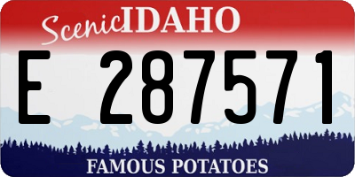 ID license plate E287571
