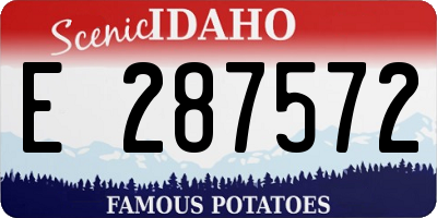 ID license plate E287572